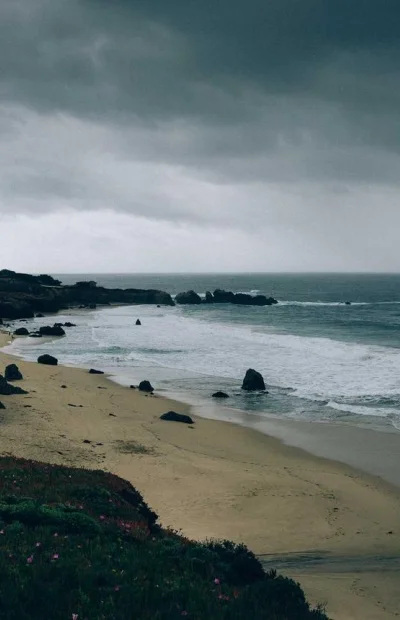 Відгук від Андрій, Харків — Дипломна робота