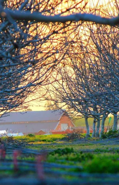 Відгук від Дмитро, Львів — Реферат (терміново)