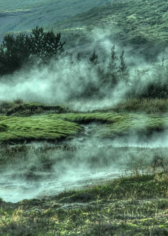 FastStudy — Вибір країни 2024 — Торгово-промислова палата України