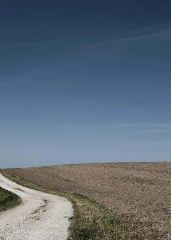 FastStudy — лідер за відгуками — Ukrainian Business Award