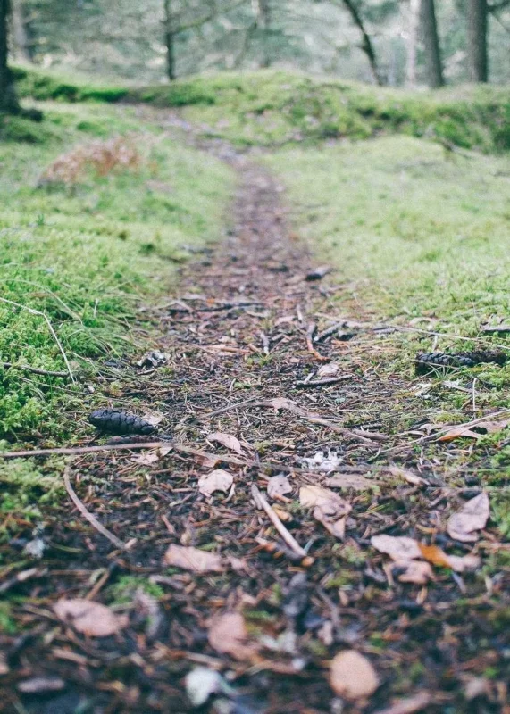 Сертифікат ISO 9001:2015 — International Organization for Standardization